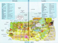 /album/fotogaleria-obrazkovy-slovnik-house/img-0004-new-jpg2/